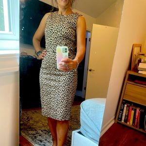 J.Crew leopard sheath dress in bi-stretch cotton.